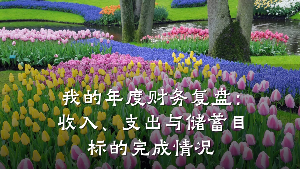 我的年度财务复盘:收入、支出与储蓄目标的完成情况