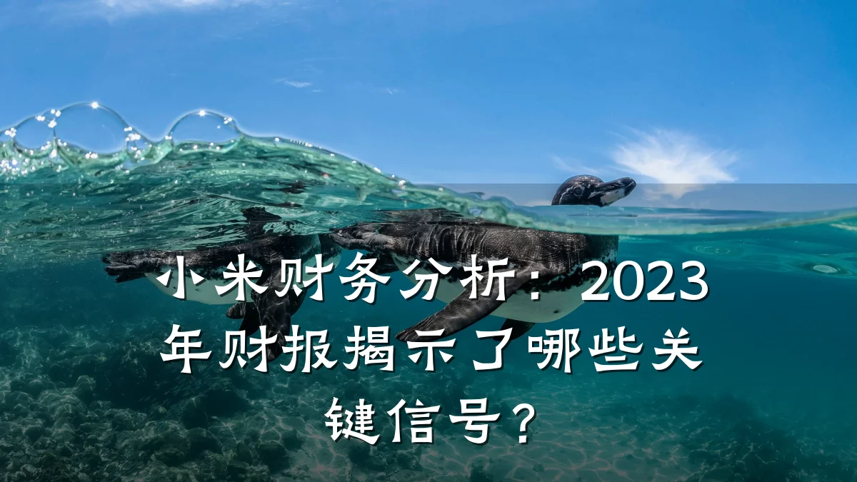 小米财务分析：2023年财报揭示了哪些关键信号？