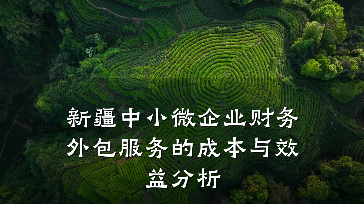 新疆中小微企业财务外包服务的成本与效益分析