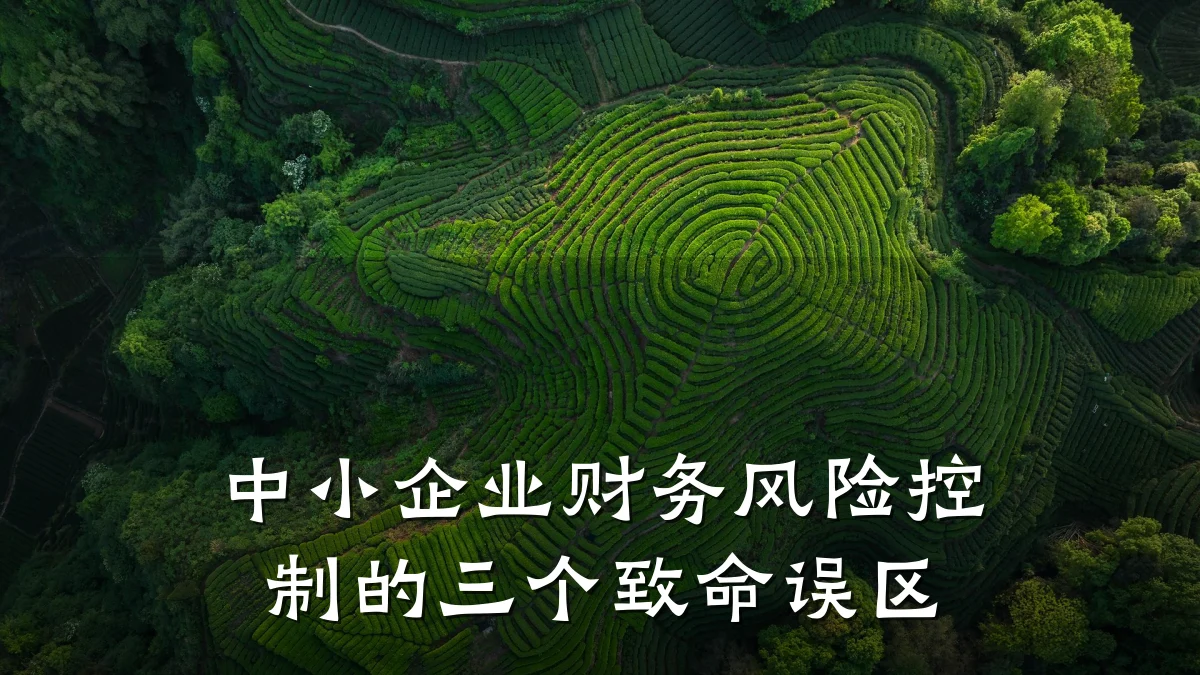 中小企业财务风险控制的三个致命误区