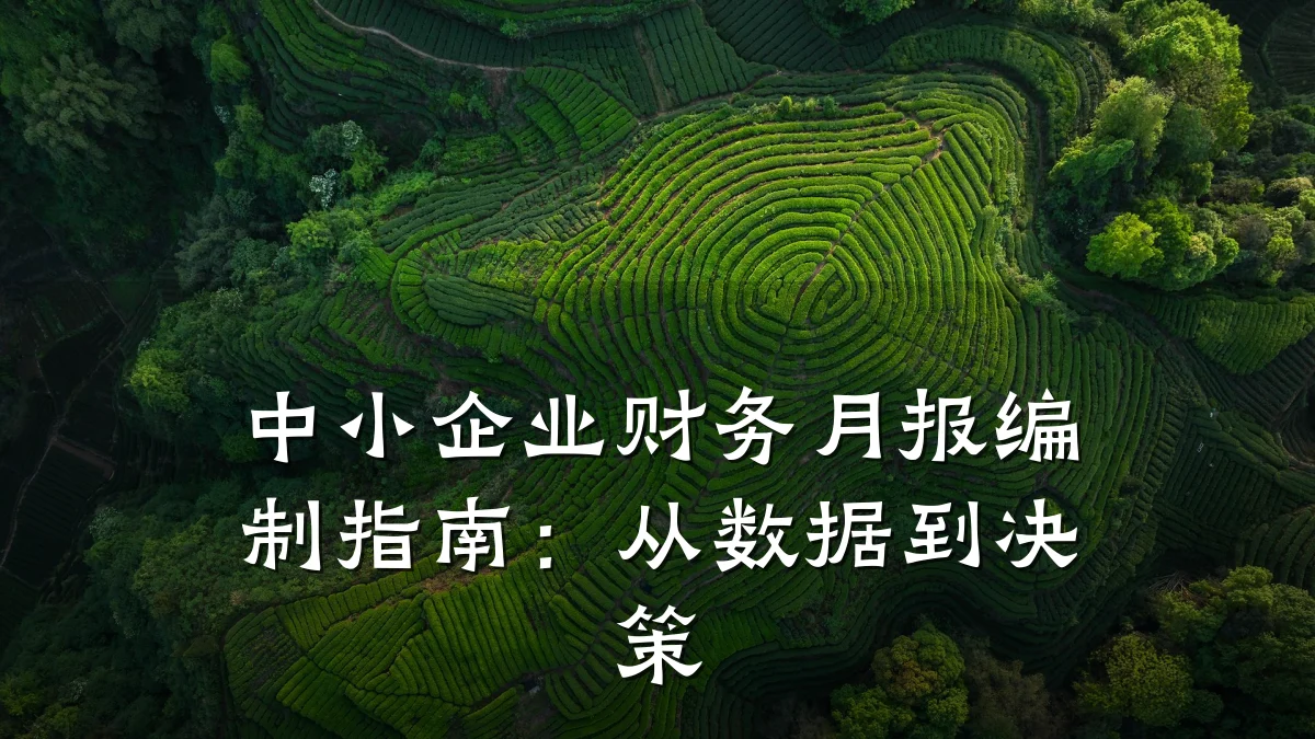 中小企业财务月报编制指南:从数据到决策