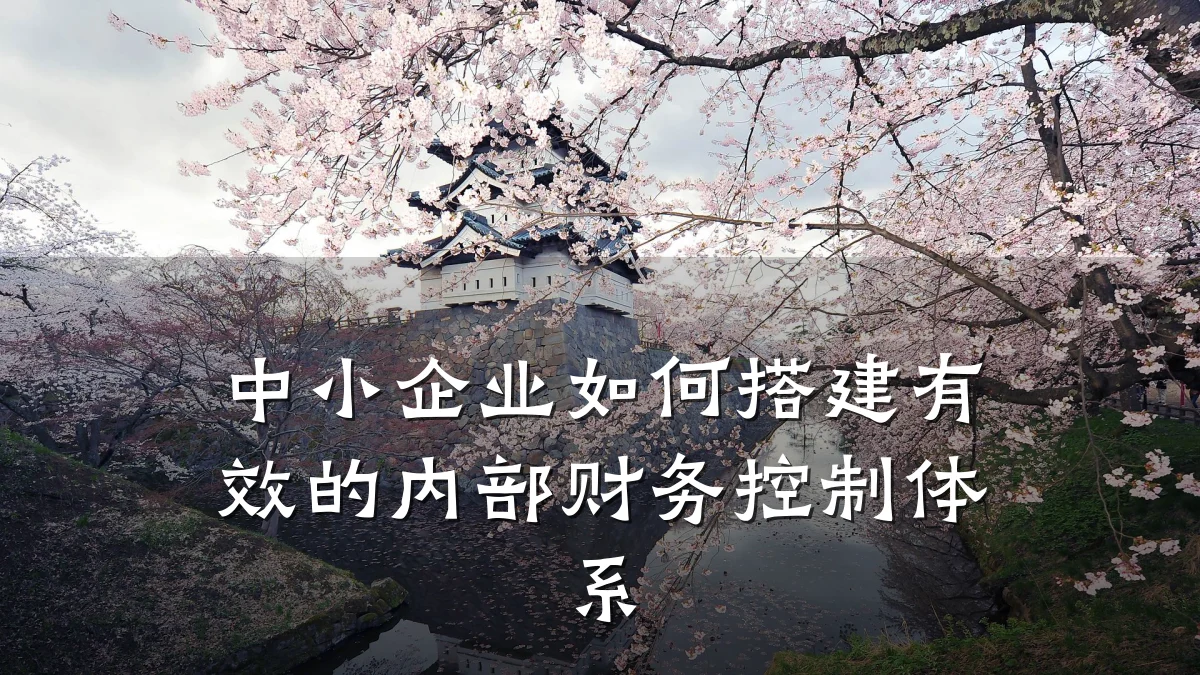 中小企业如何搭建有效的内部财务控制体系