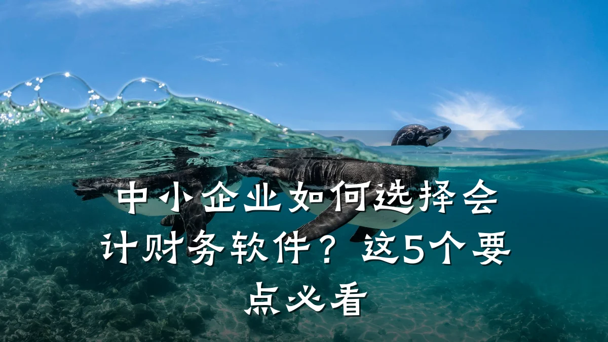中小企业如何选择会计财务软件?这5个要点必看