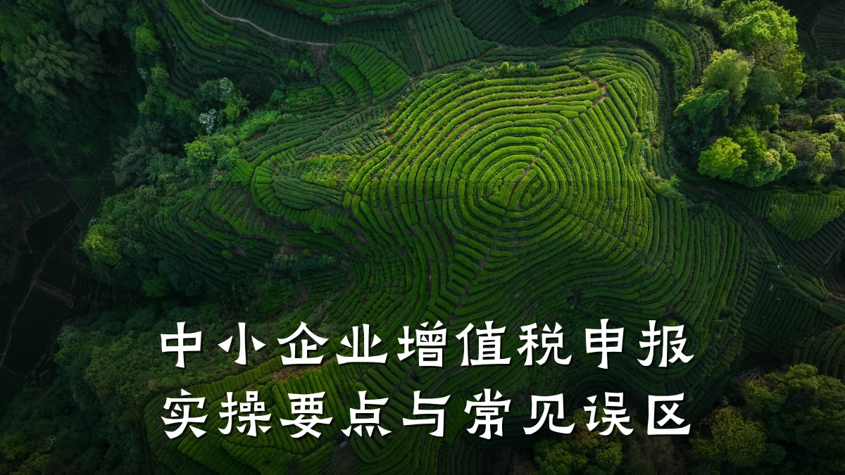 中小企业增值税申报实操要点与常见误区