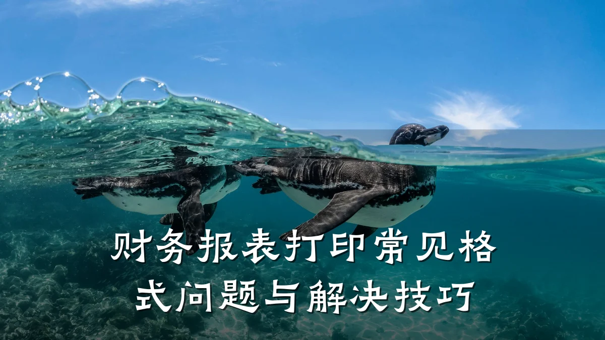 财务报表打印常见格式问题与解决技巧