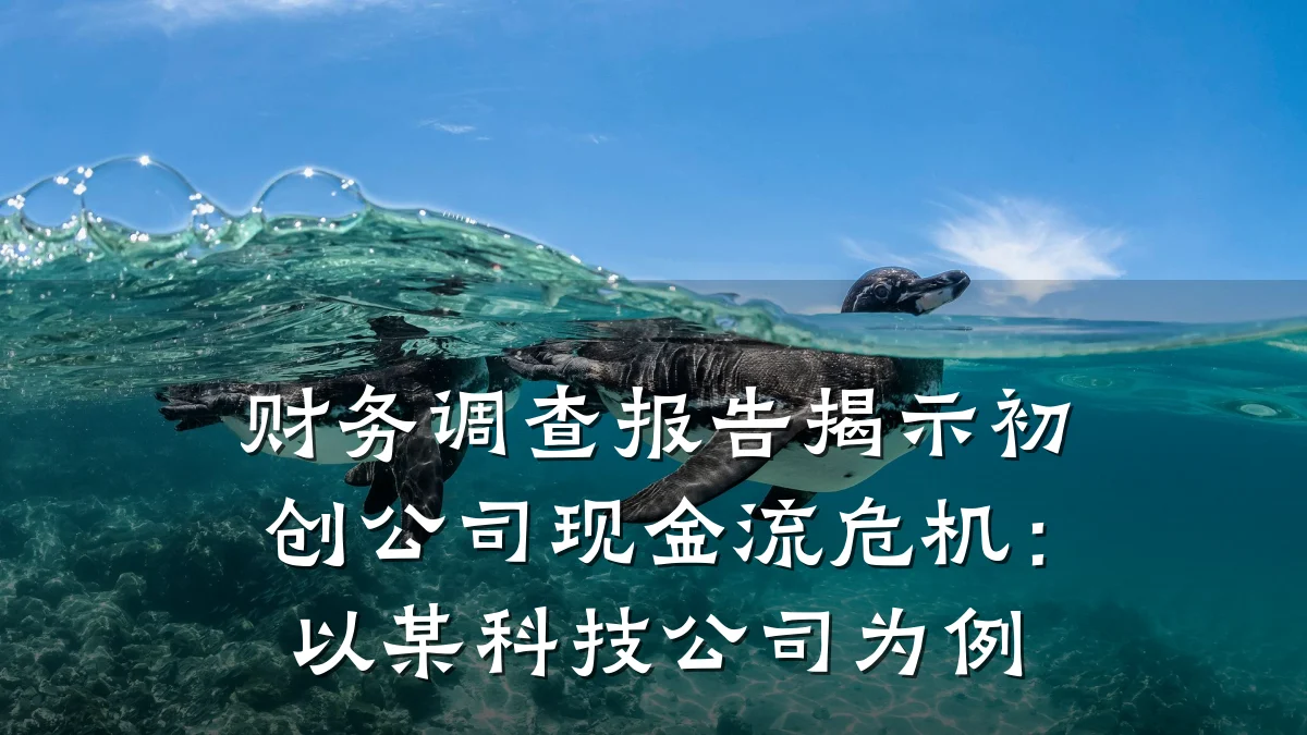 财务调查报告揭示初创公司现金流危机:以某科技公司为例