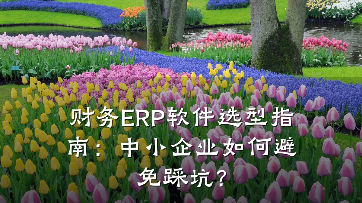 财务ERP软件选型指南：中小企业如何避免踩坑？