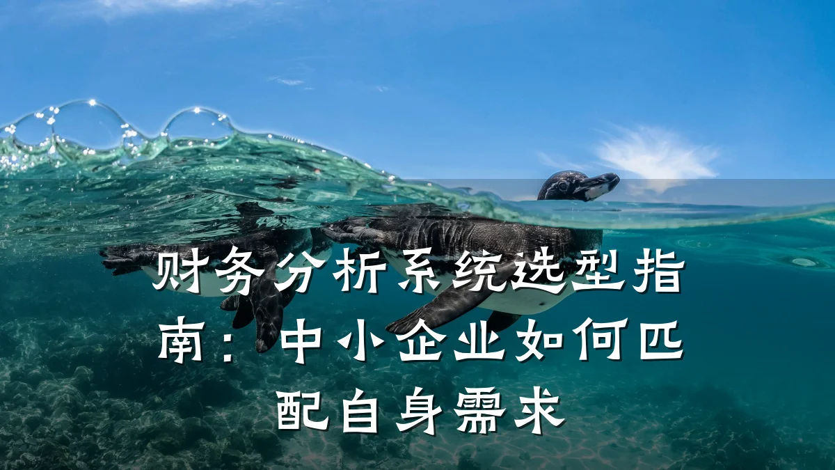 财务分析系统选型指南：中小企业如何匹配自身需求
