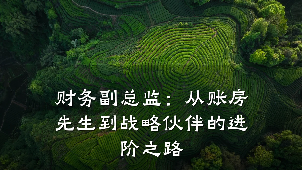 财务副总监:从账房先生到战略伙伴的进阶之路