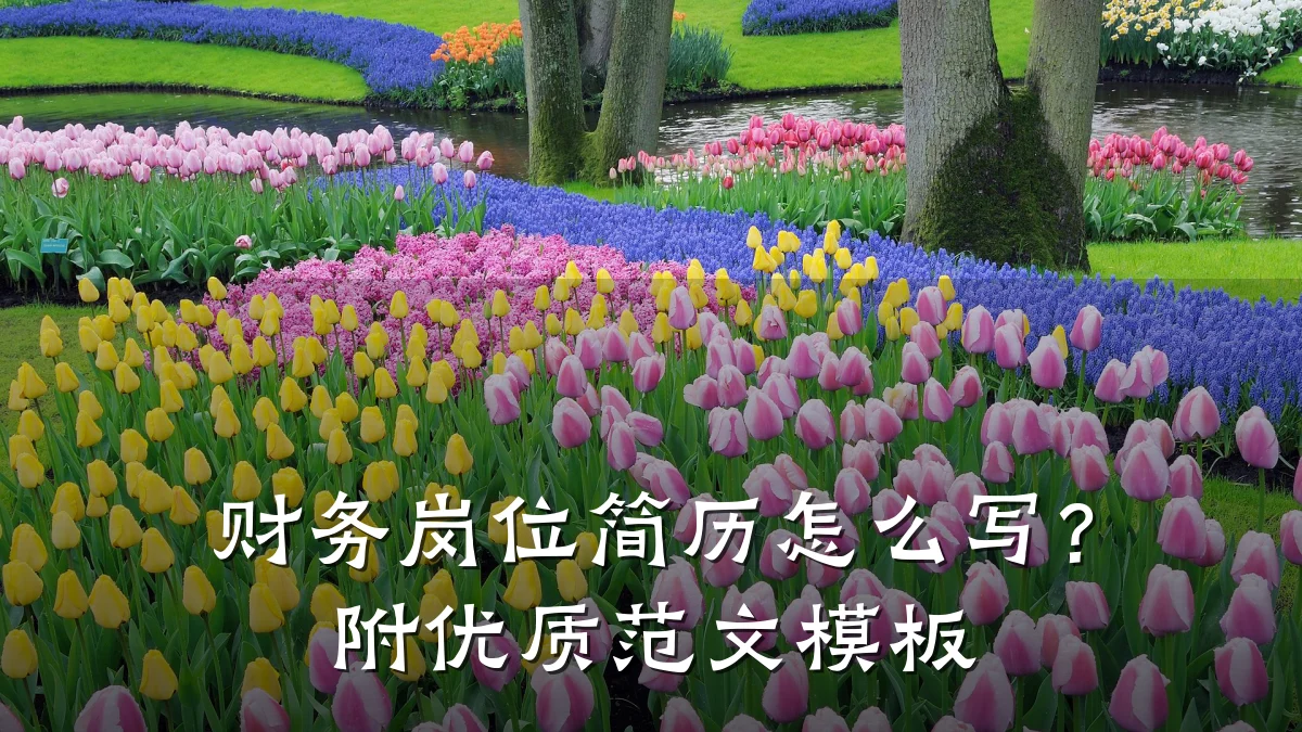 财务岗位简历怎么写？附优质范文模板