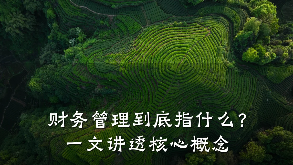 财务管理到底指什么?一文讲透核心概念