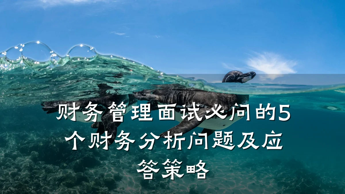 财务管理面试必问的5个财务分析问题及应答策略