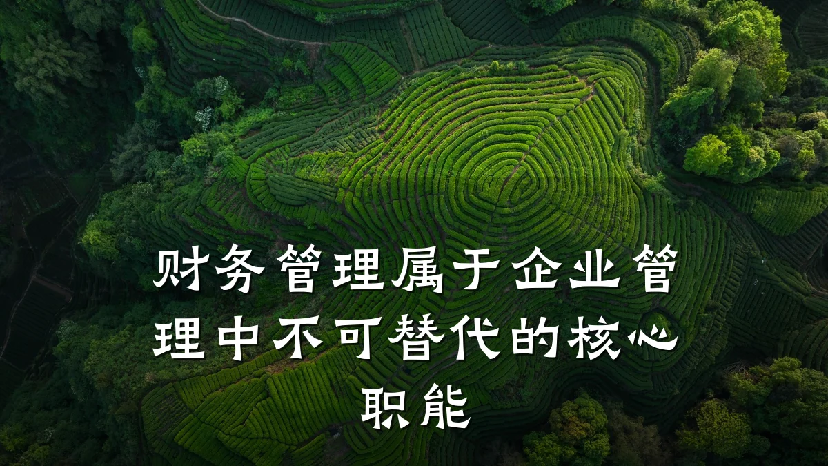 财务管理属于企业管理中不可替代的核心职能