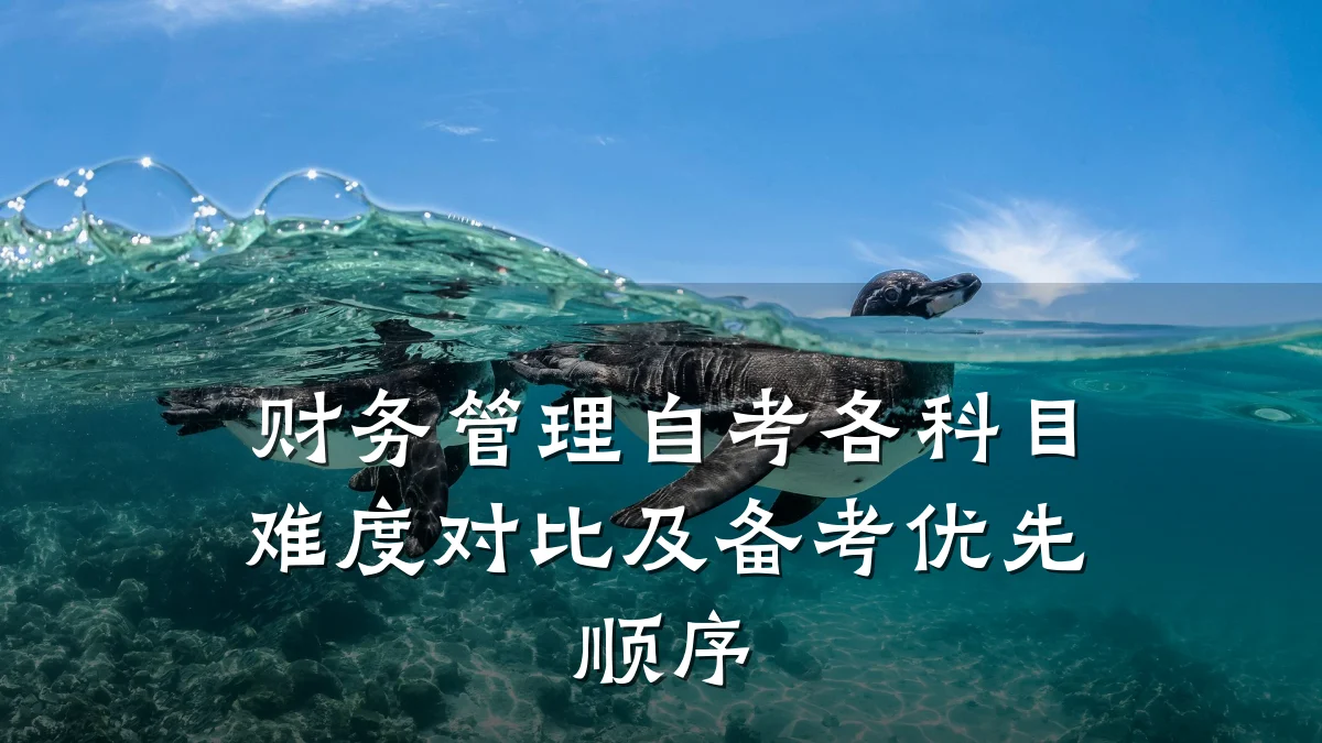 财务管理自考各科目难度对比及备考优先顺序