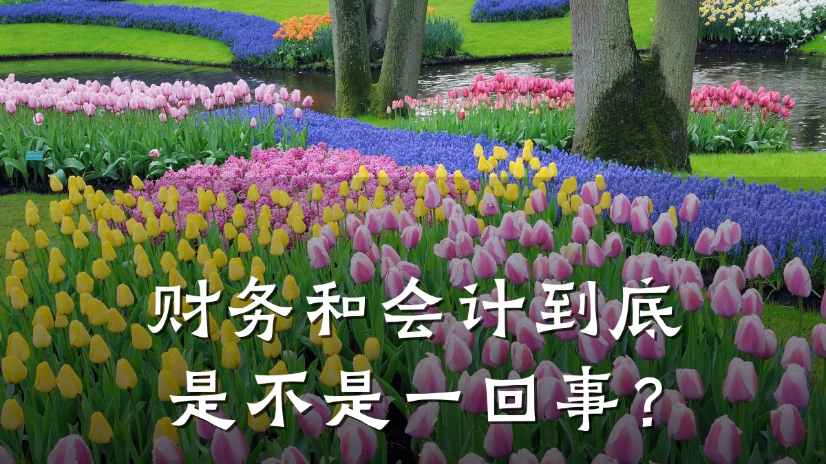 财务和会计到底是不是一回事?