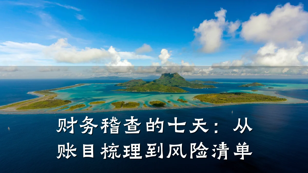 财务稽查的七天：从账目梳理到风险清单