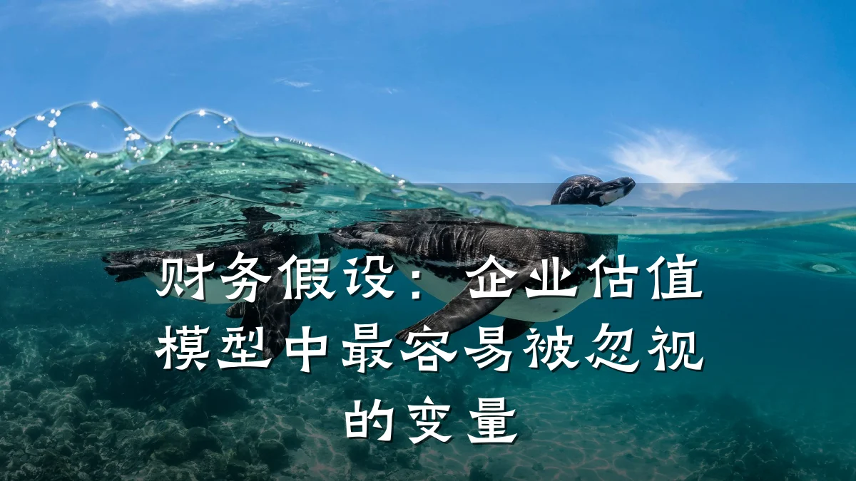 财务假设：企业估值模型中最容易被忽视的变量