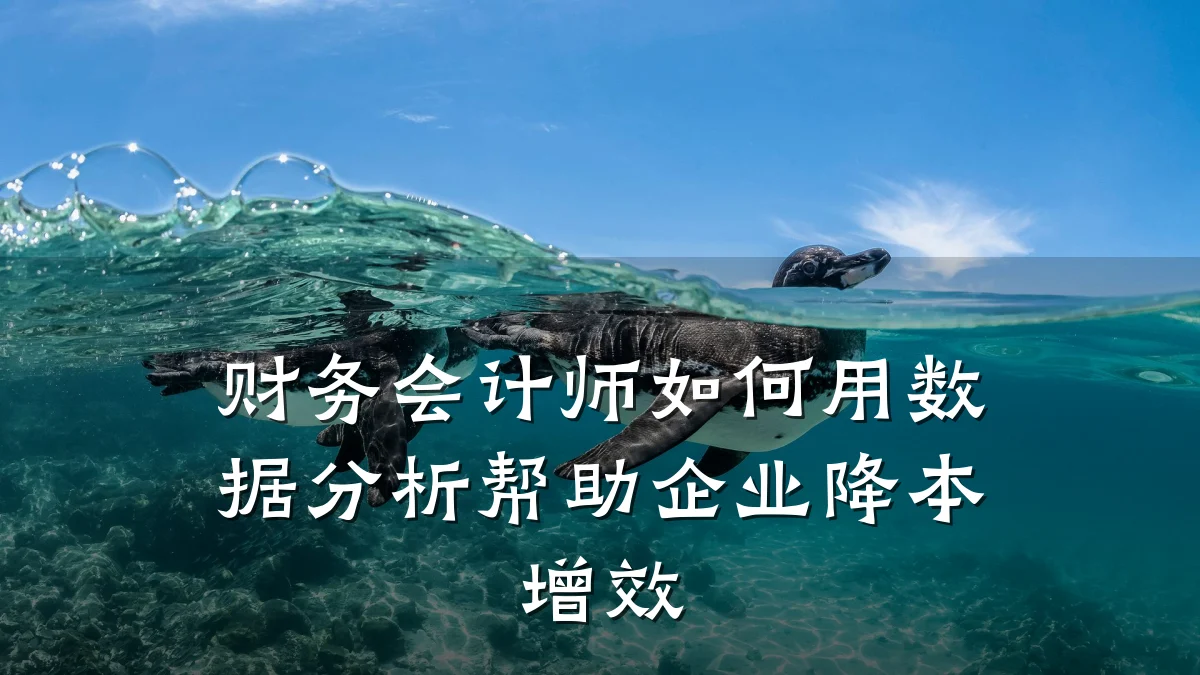 财务会计师如何用数据分析帮助企业降本增效