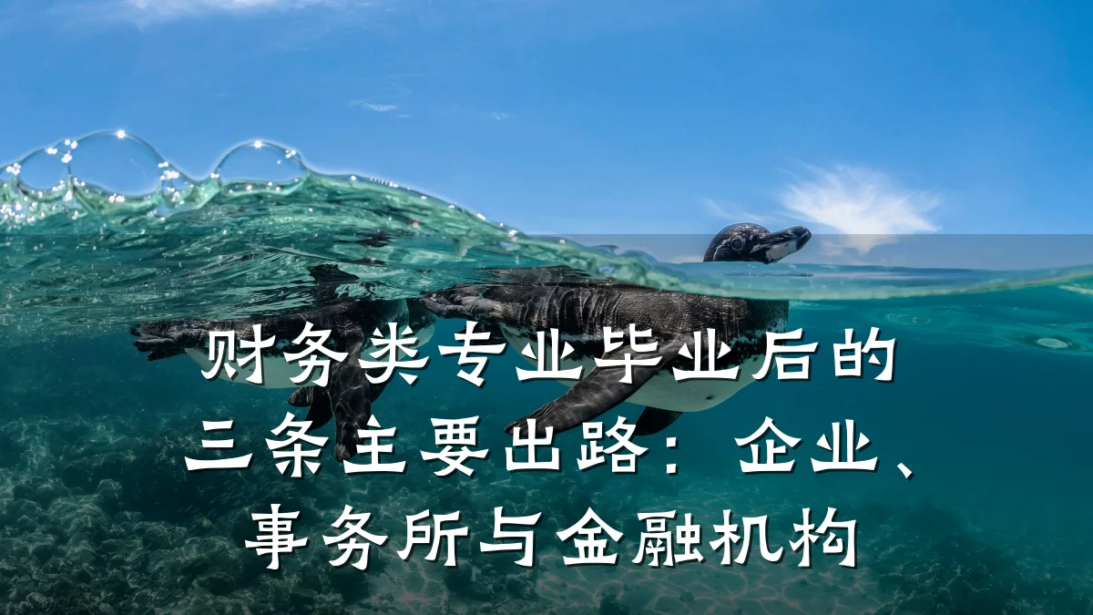 财务类专业毕业后的三条主要出路:企业、事务所与金融机构