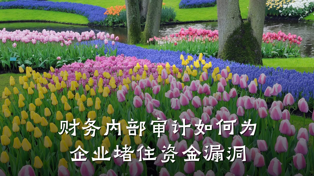 财务内部审计如何为企业堵住资金漏洞
