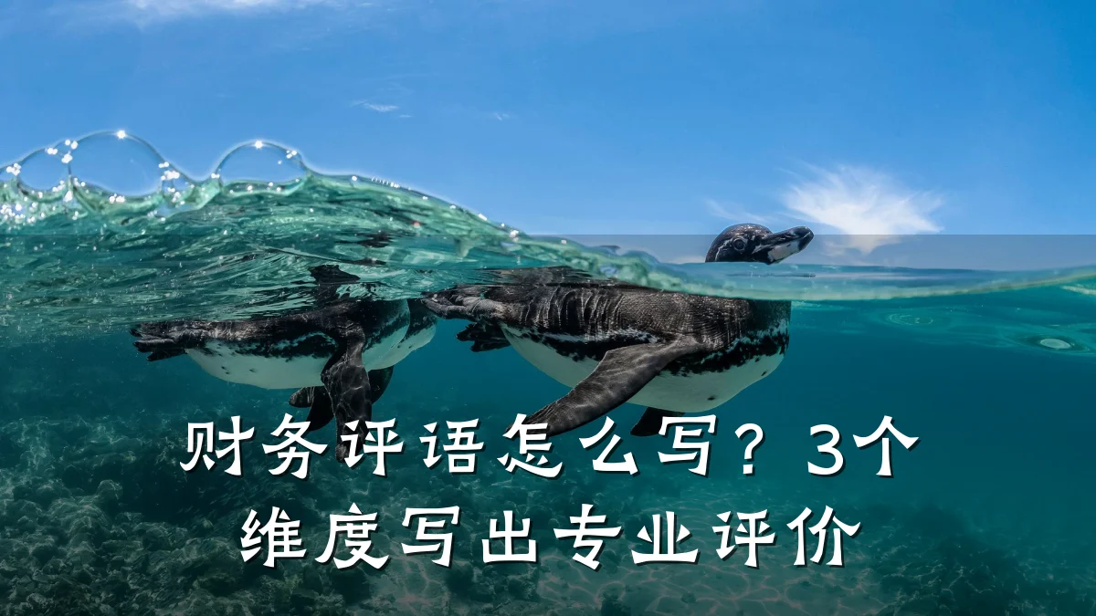 财务评语怎么写?3个维度写出专业评价
