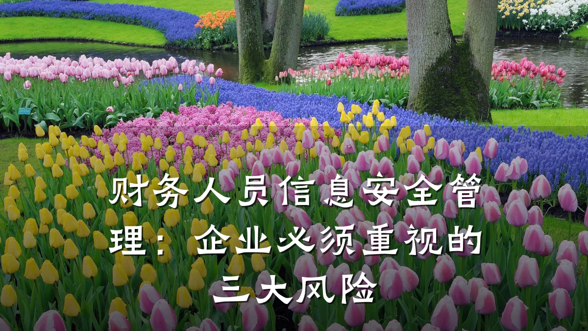 财务人员信息安全管理:企业必须重视的三大风险
