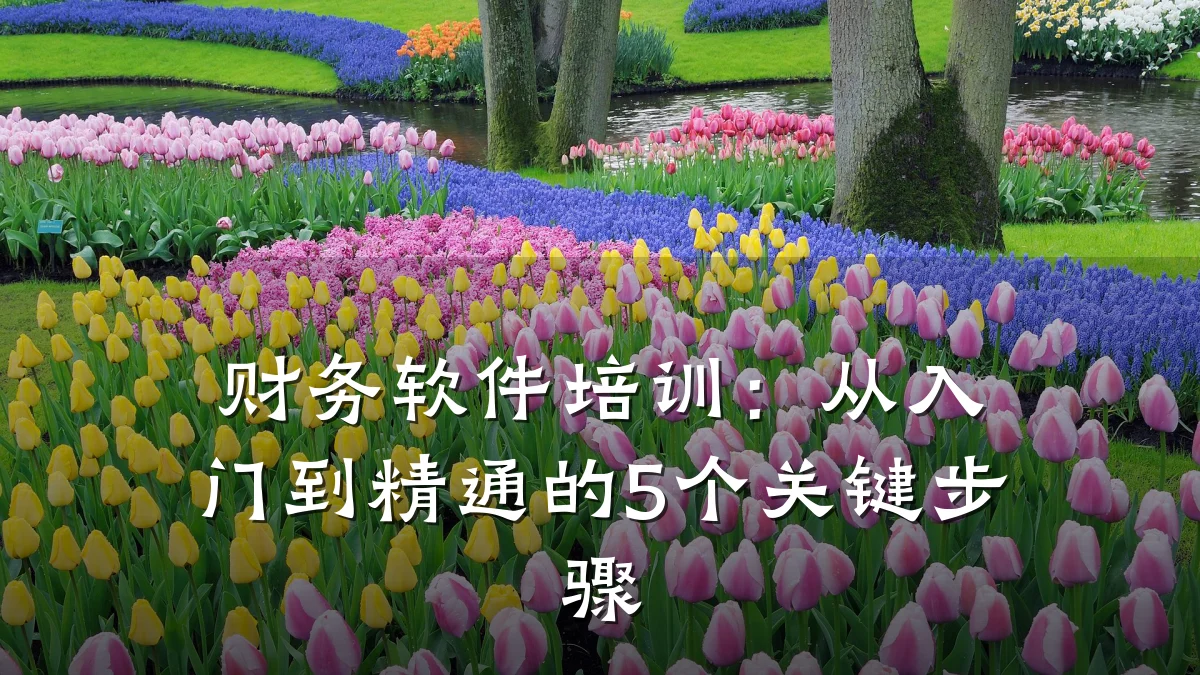 财务软件培训：从入门到精通的5个关键步骤