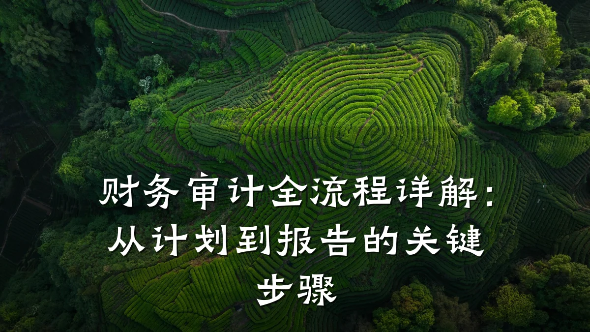 财务审计全流程详解:从计划到报告的关键步骤