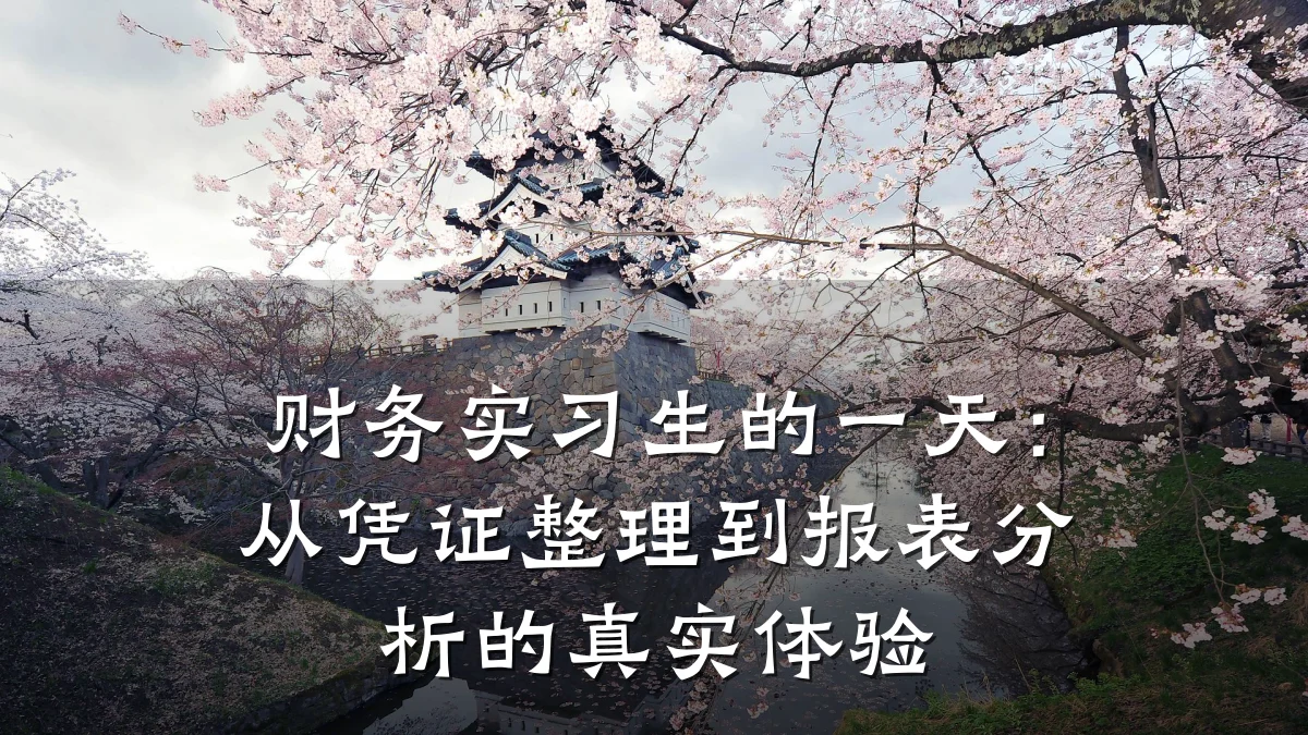 财务实习生的一天:从凭证整理到报表分析的真实体验