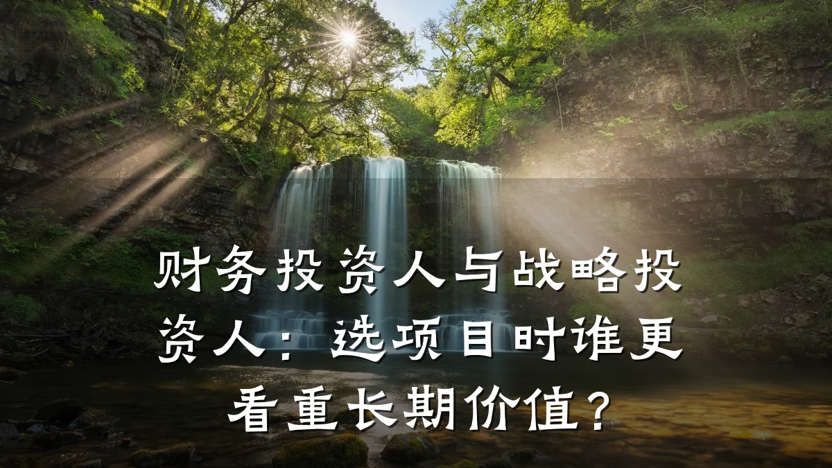 财务投资人与战略投资人：选项目时谁更看重长期价值？