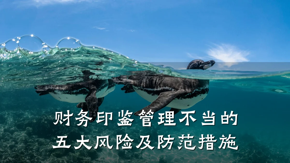 财务印鉴管理不当的五大风险及防范措施