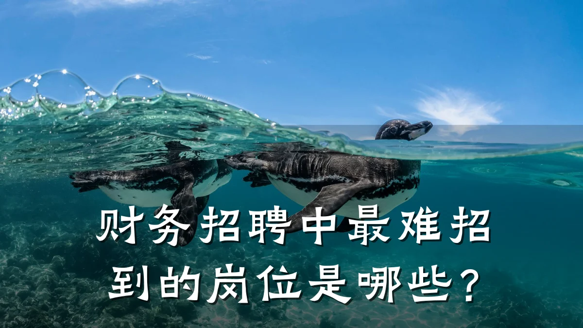 财务招聘中最难招到的岗位是哪些?