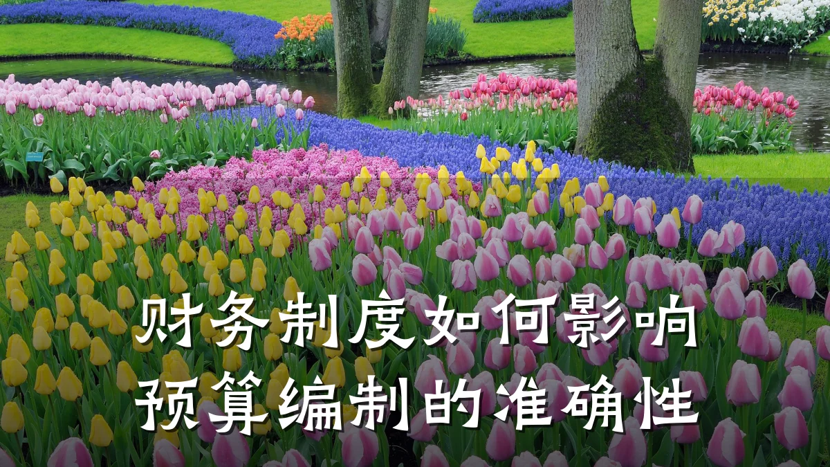 财务制度如何影响预算编制的准确性