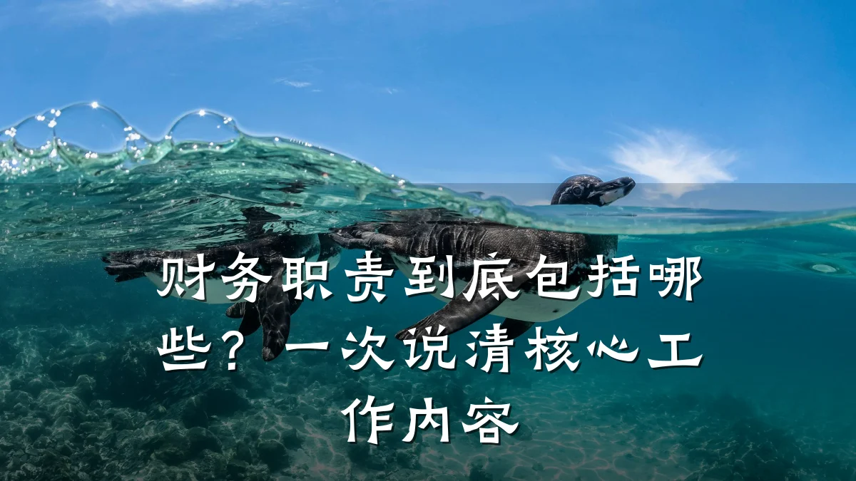 财务职责到底包括哪些?一次说清核心工作内容