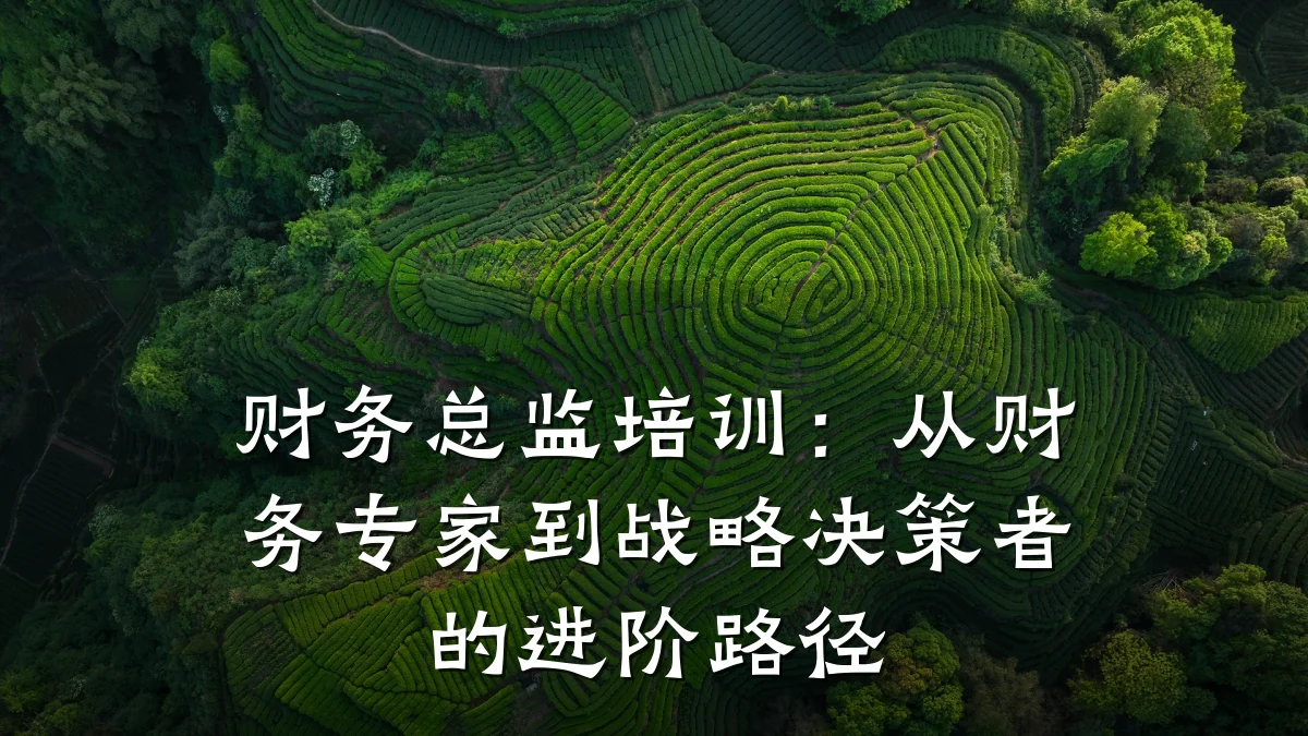 财务总监培训:从财务专家到战略决策者的进阶路径