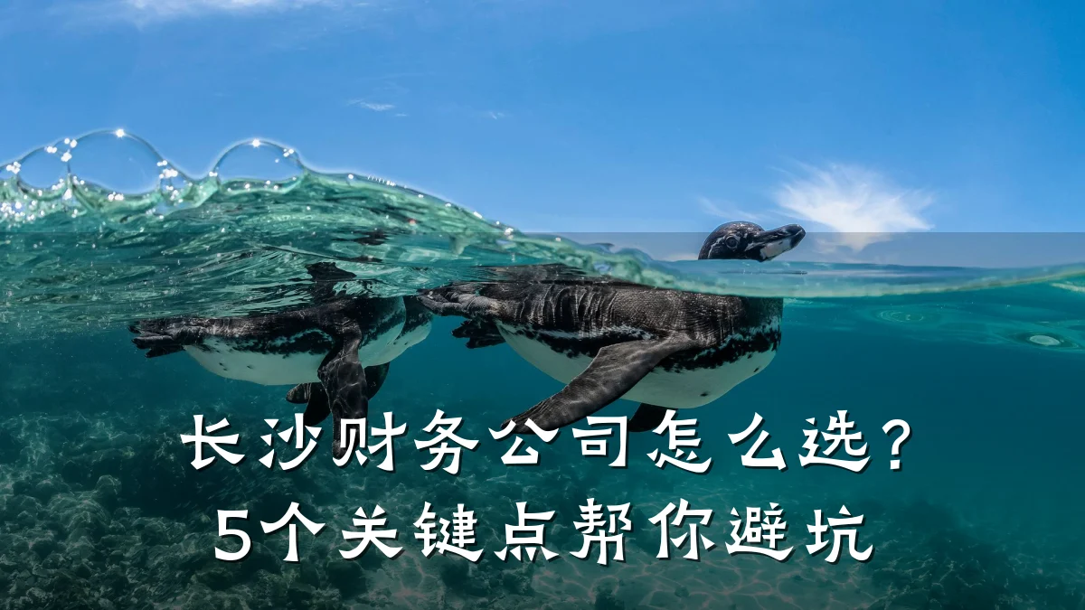 长沙财务公司怎么选？5个关键点帮你避坑