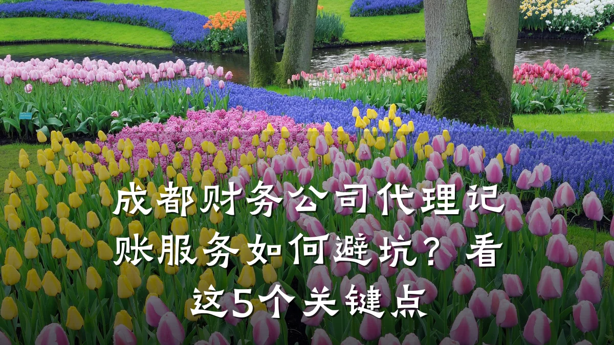 成都财务公司代理记账服务如何避坑?看这5个关键点