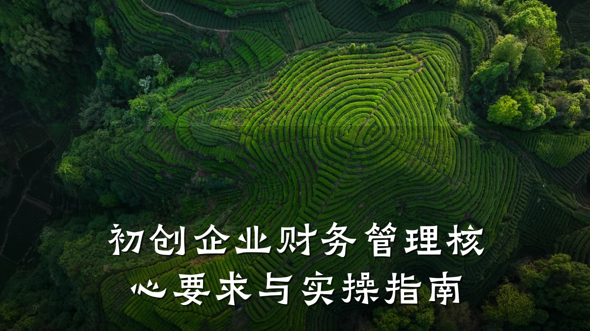 初创企业财务管理核心要求与实操指南