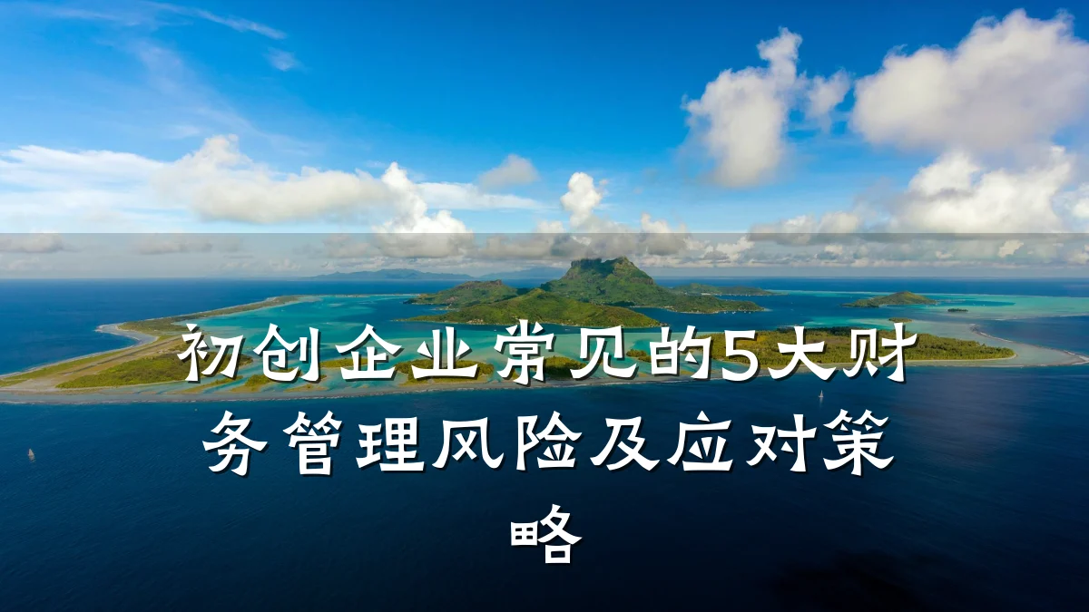 初创企业常见的5大财务管理风险及应对策略