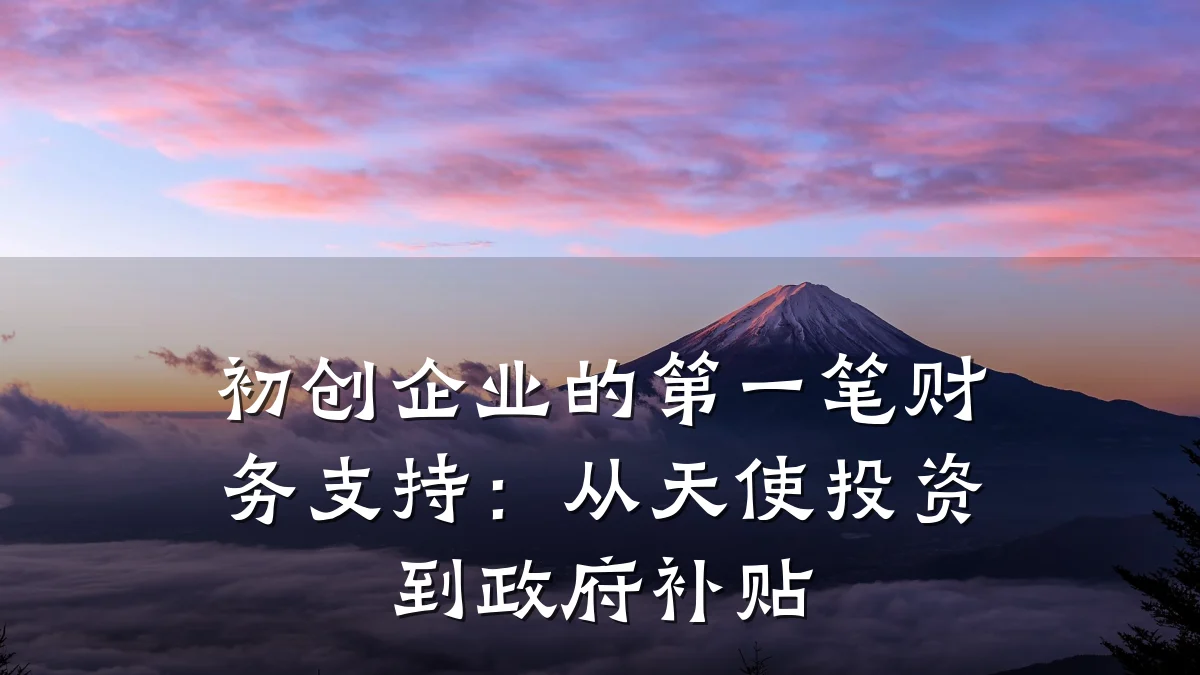初创企业的第一笔财务支持：从天使投资到政府补贴