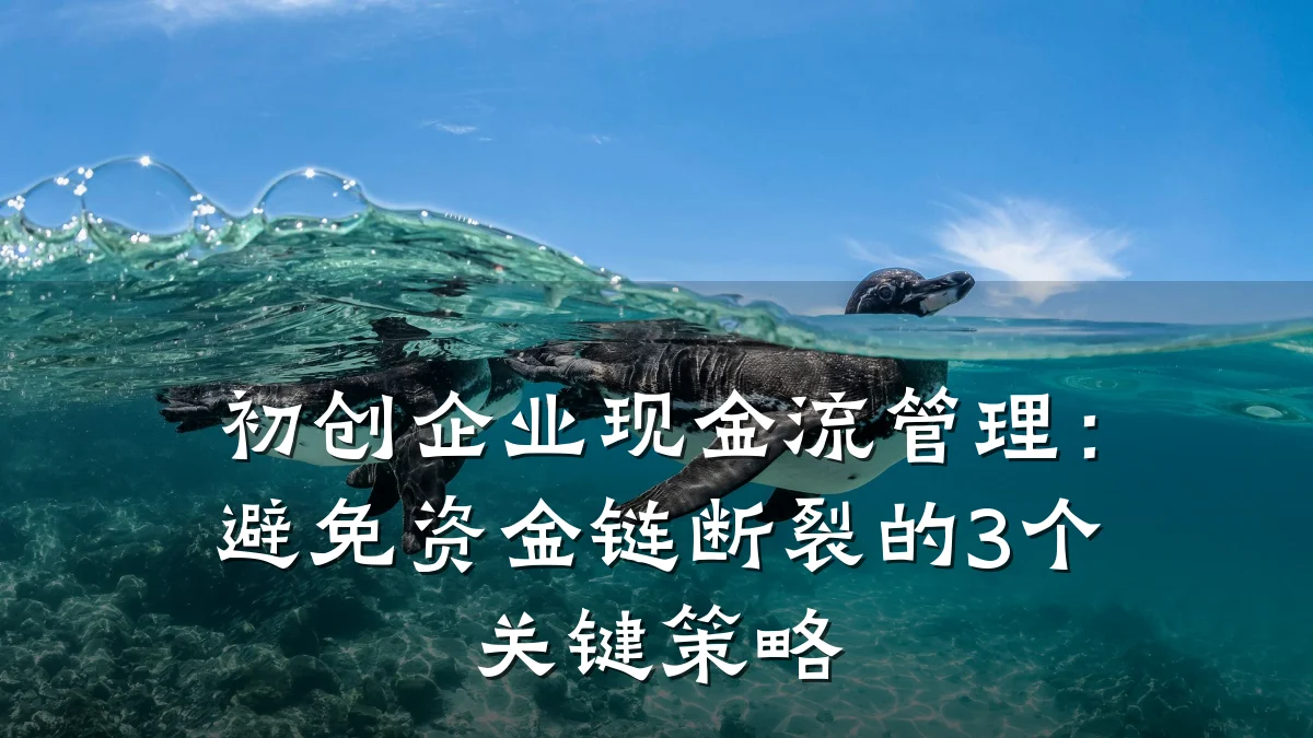 初创企业现金流管理:避免资金链断裂的3个关键策略
