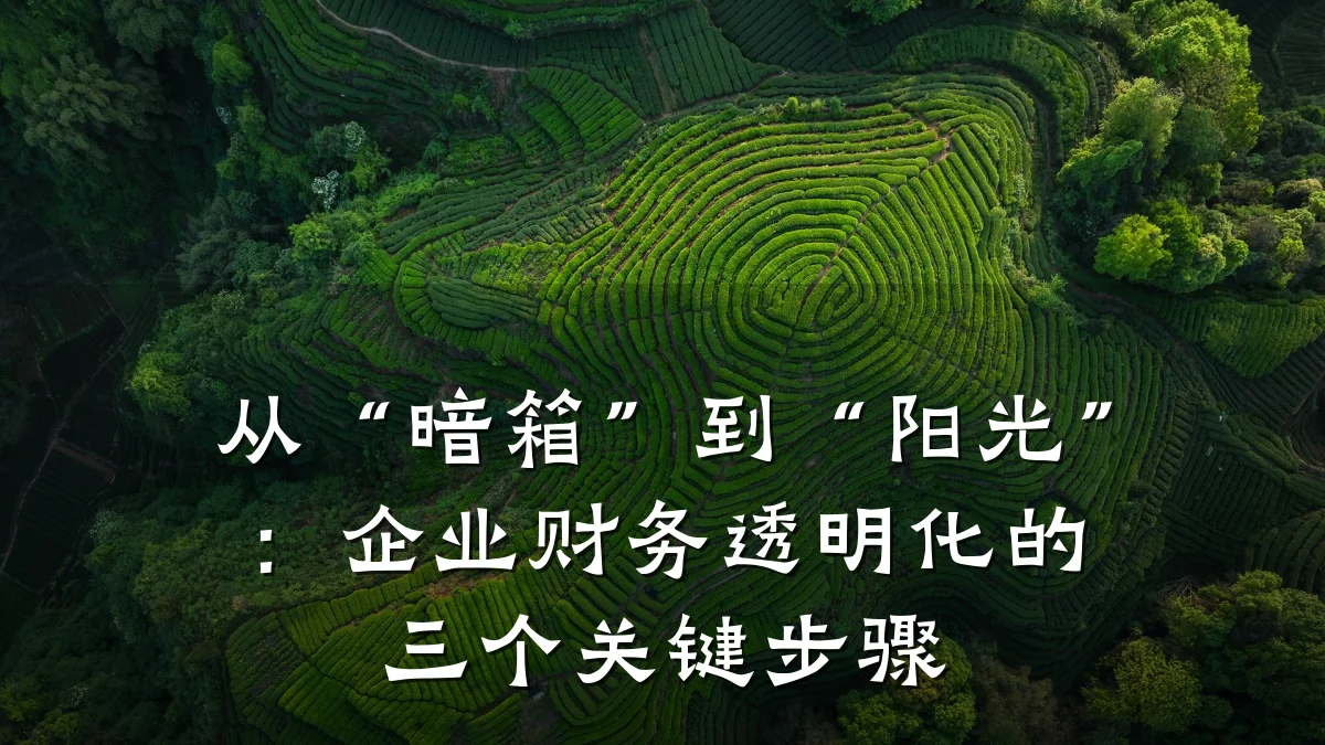 从“暗箱”到“阳光”:企业财务透明化的三个关键步骤