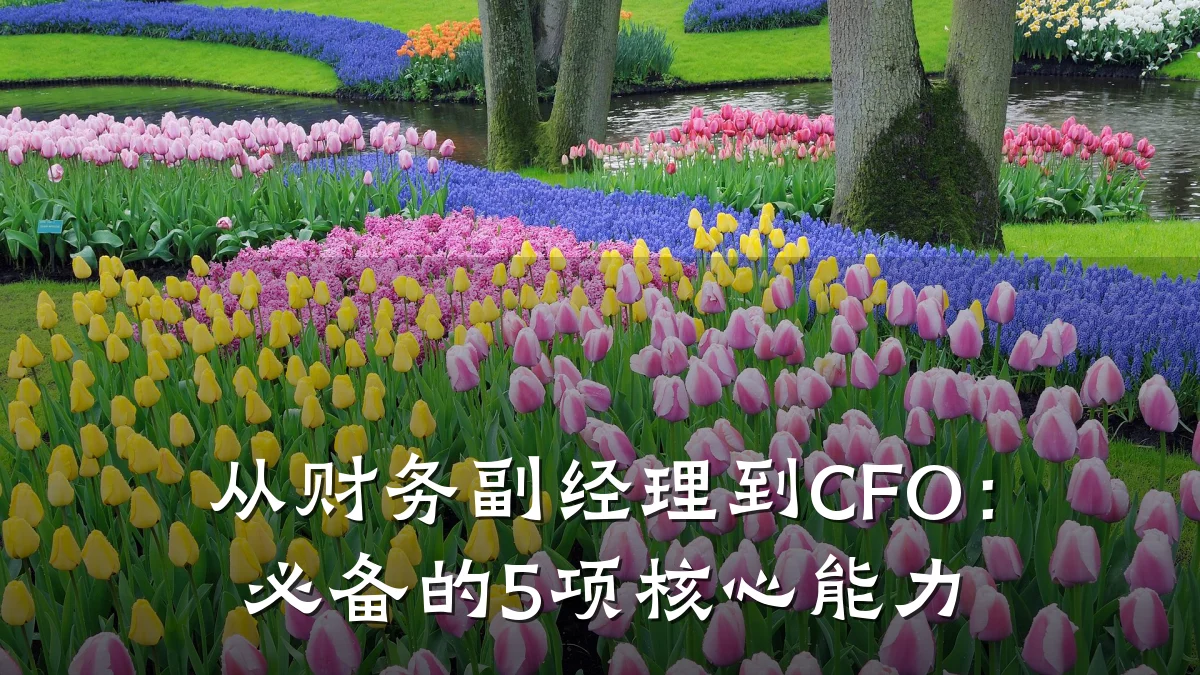 从财务副经理到CFO:必备的5项核心能力