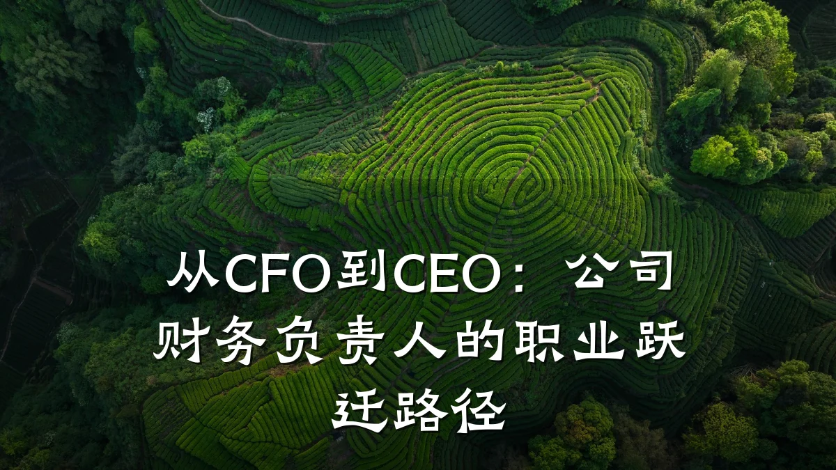 从CFO到CEO：公司财务负责人的职业跃迁路径