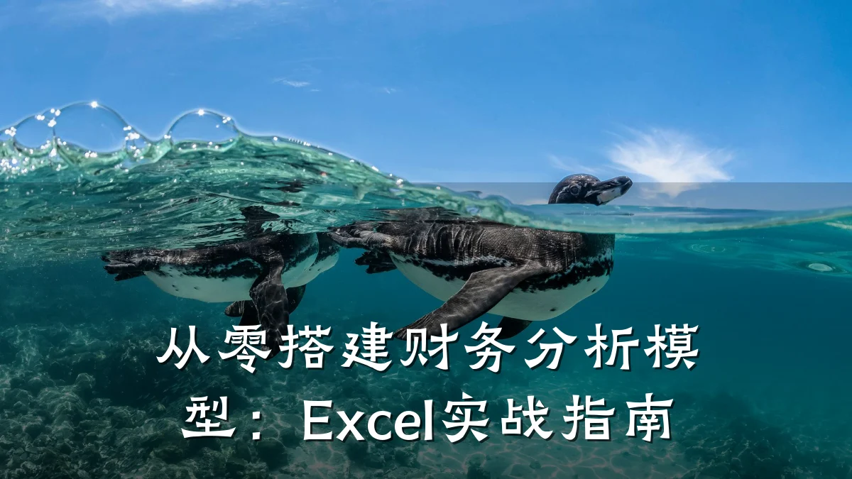 从零搭建财务分析模型:Excel实战指南