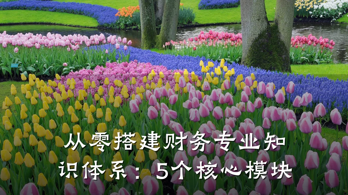 从零搭建财务专业知识体系:5个核心模块
