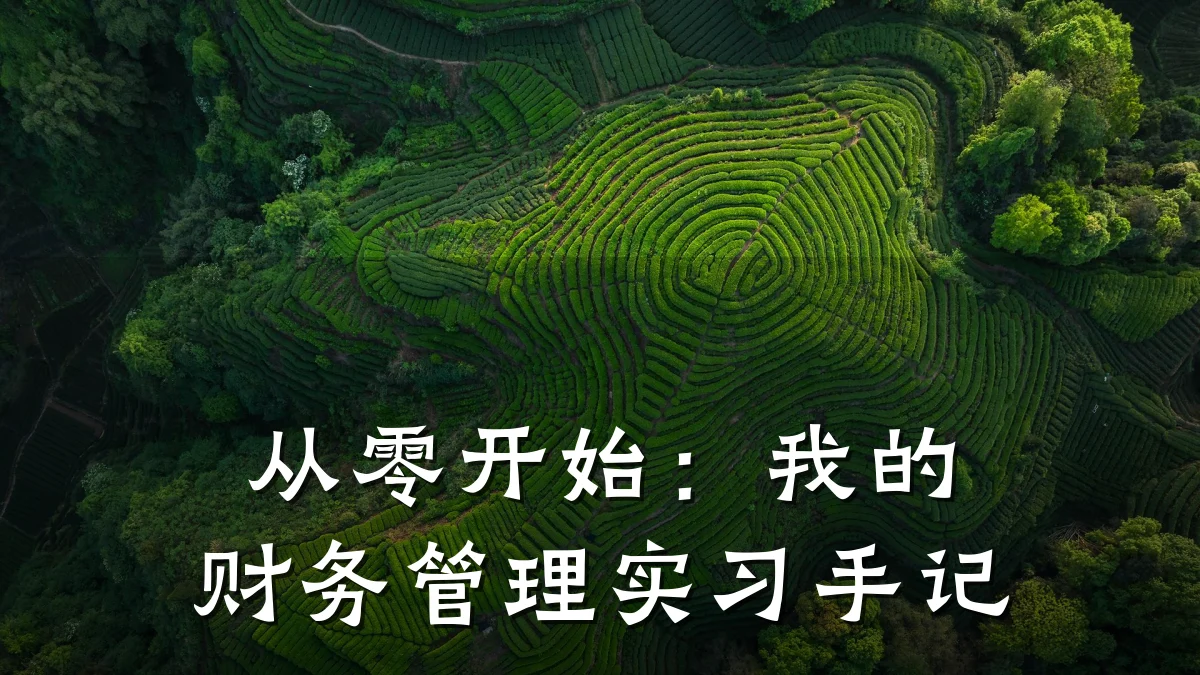 从零开始:我的财务管理实习手记
