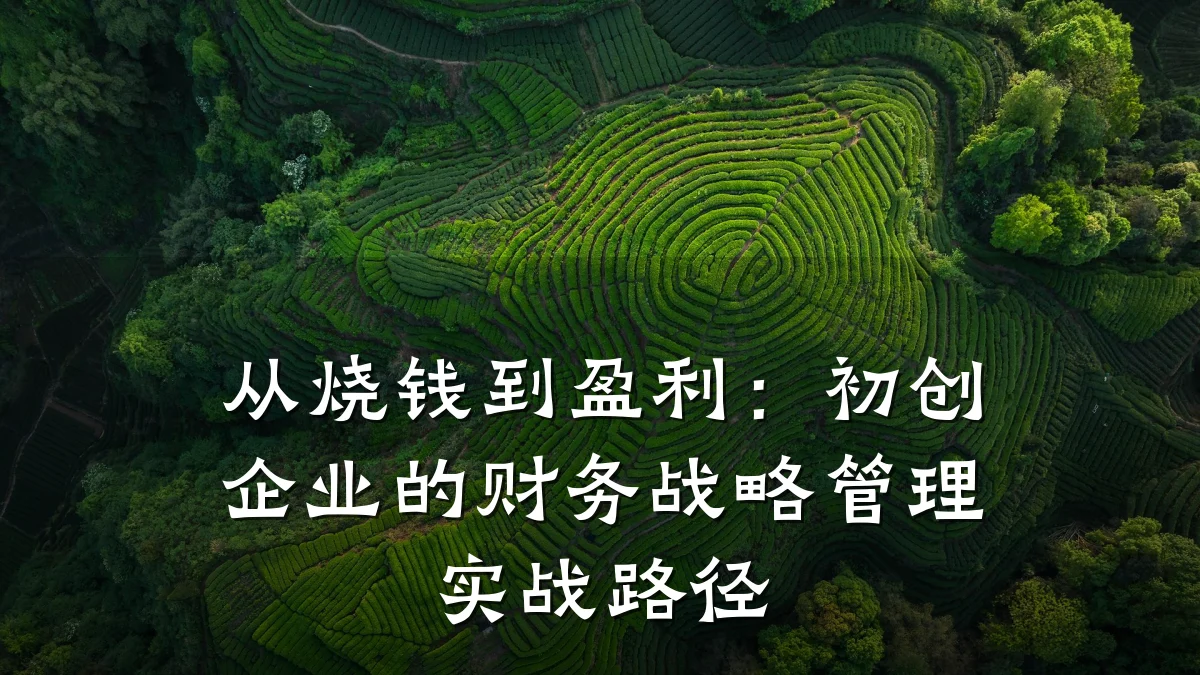 从烧钱到盈利:初创企业的财务战略管理实战路径