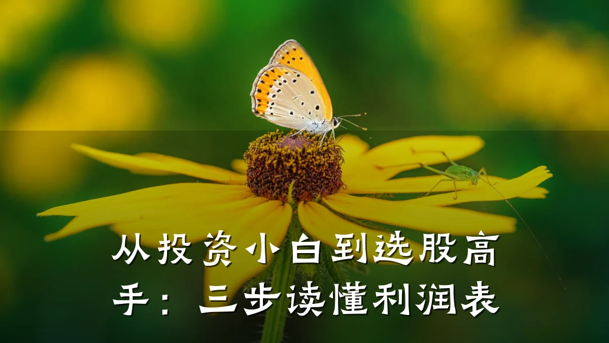 从投资小白到选股高手:三步读懂利润表