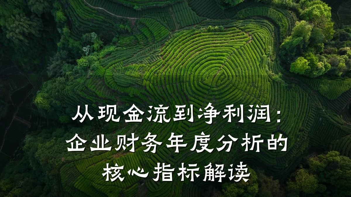 从现金流到净利润:企业财务年度分析的核心指标解读